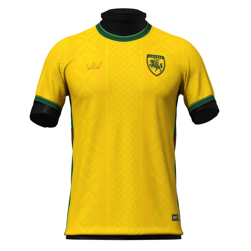 Lithuania Custom Football Jersey